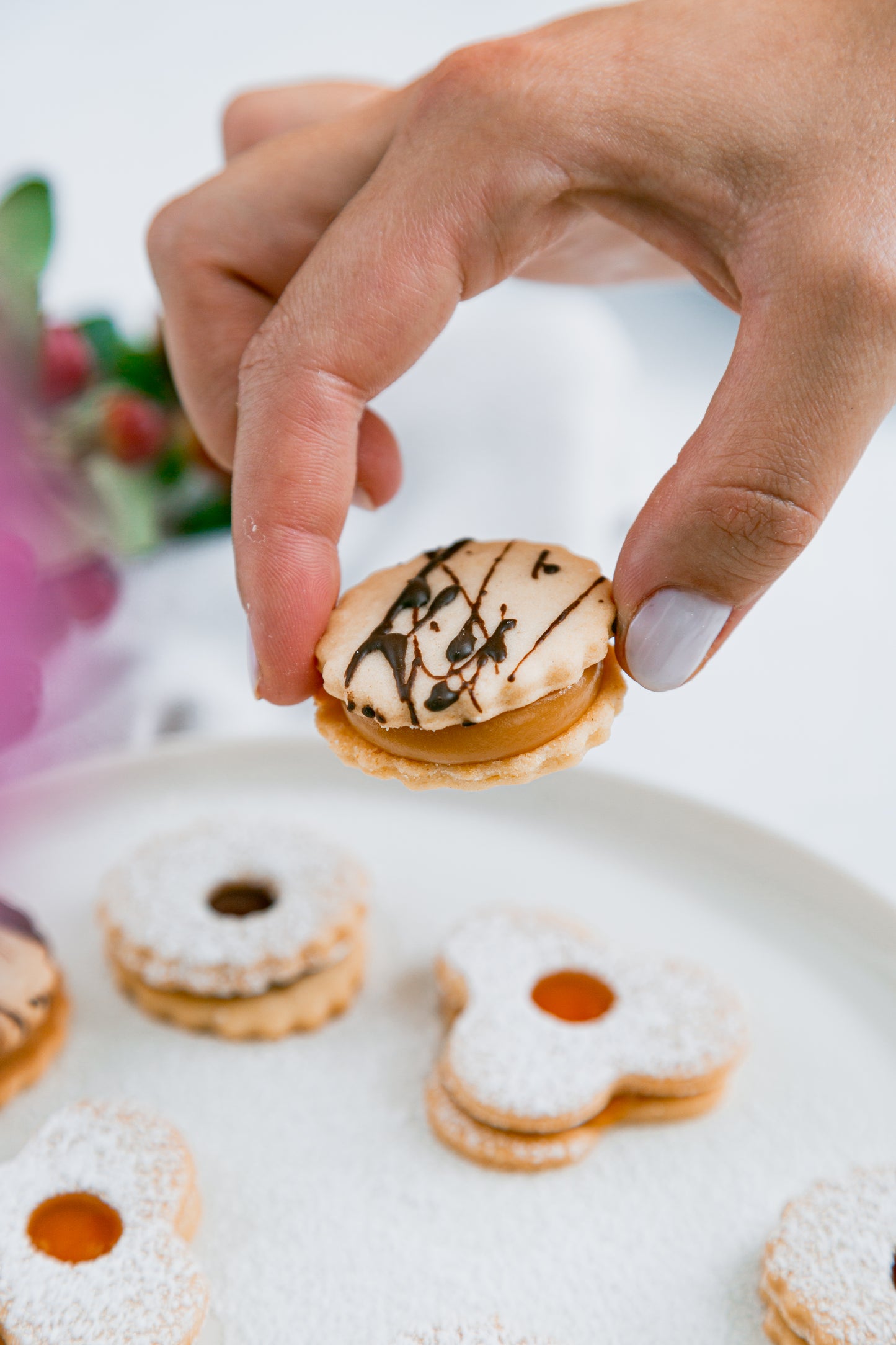 Galletas Delicias